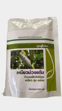 ม่วงแต้ม200G*100